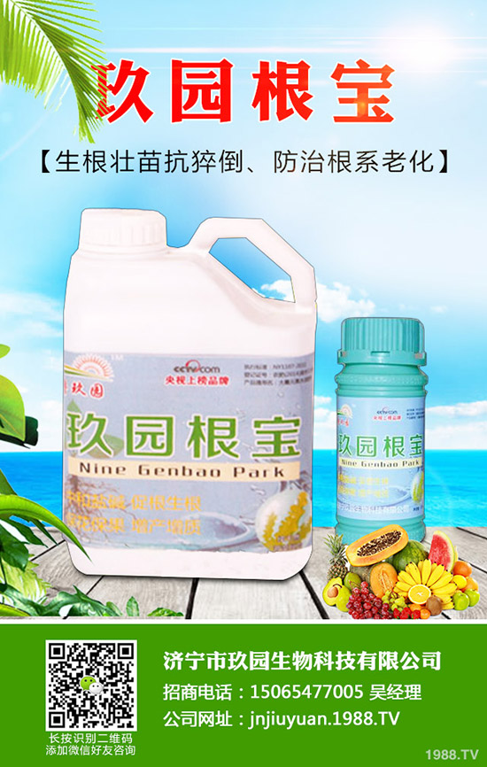 �������x��η����������x��Σ�����l(f��)��Ҏ(gu��)����