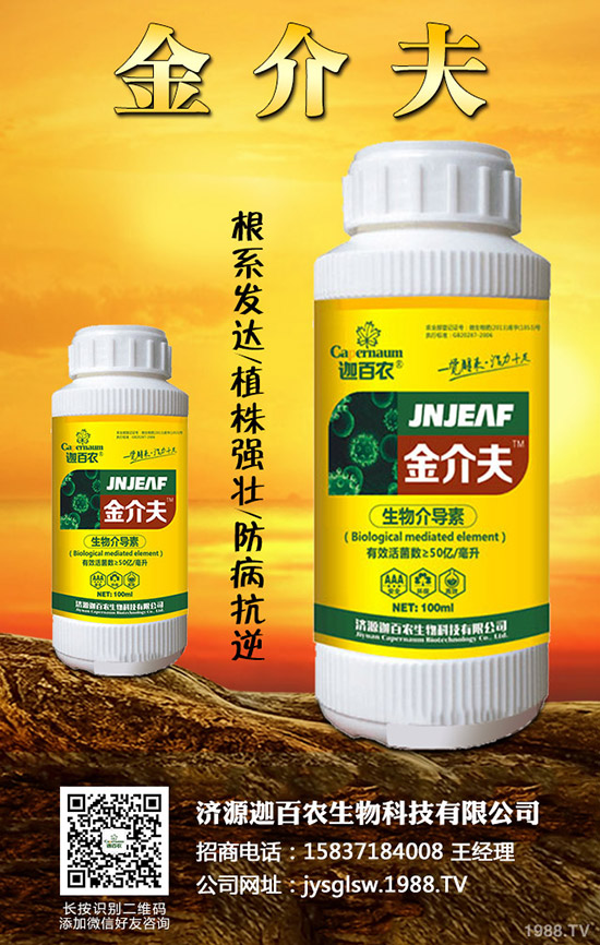 ���������o��������ô�k�������o���������\���c������