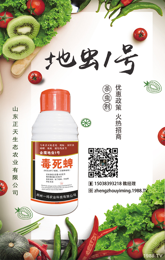 �����}����ηNֲ�������}����Ҫע��ʲô��