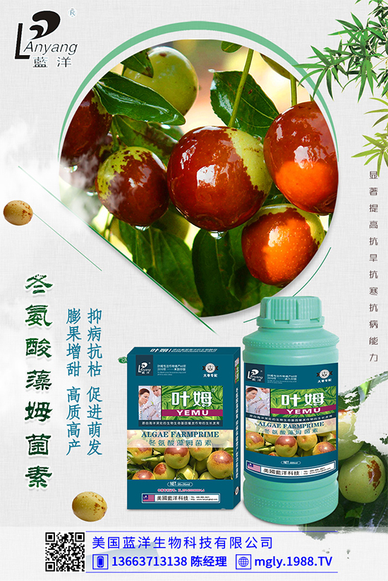 �ײ�ܛ��������������������ЩΣ�����ײ�ܛ�����İl(f��)���c����