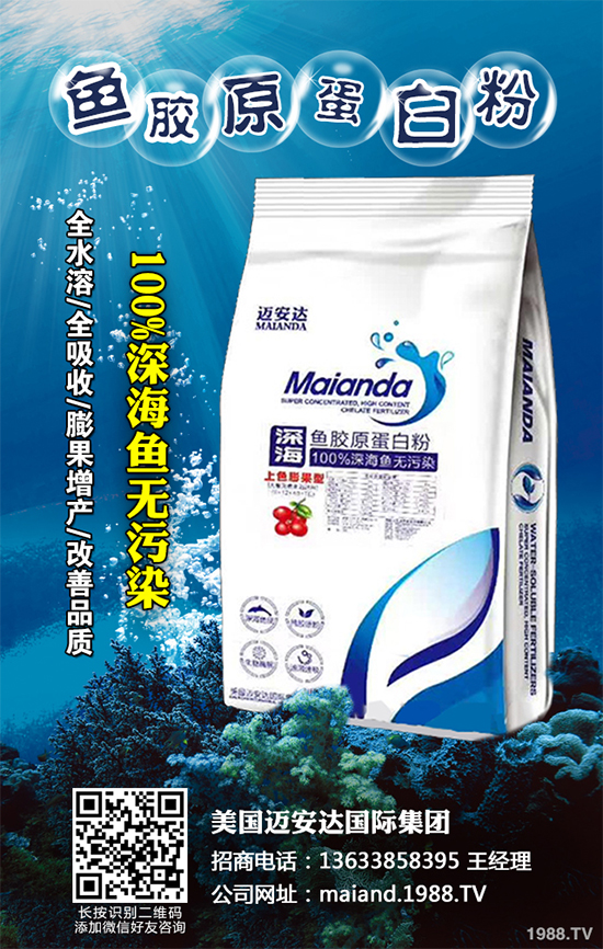 �ײ�ܛ��������������������ЩΣ�����ײ�ܛ�����İl(f��)���c����