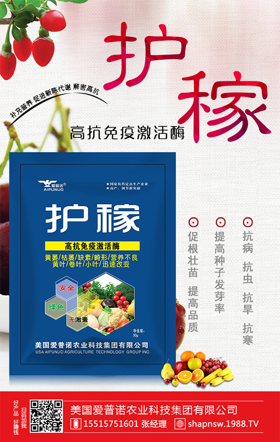 ɽ髵Ĺ�Ч�c��������ɽ���ʲô��̎��  