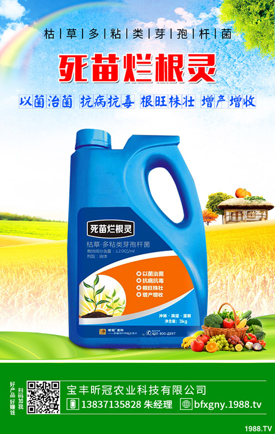 ��ô�Nֲ�_�h�����_�h���Nֲ������B��