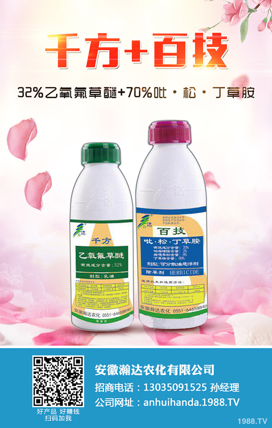 �����R�����ô�N�������R�������Ҫ�c��