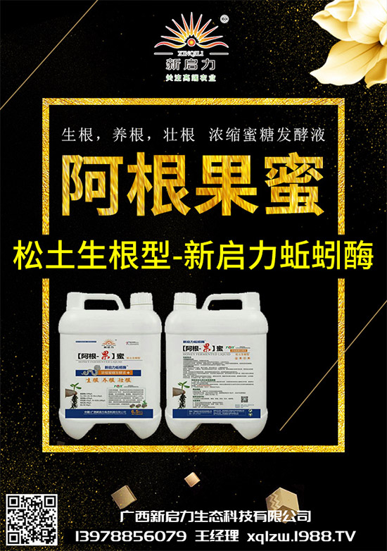 ���{(l��n)��Ä������ЩΣ��������{(l��n)�����İl(f��)���c���μ���