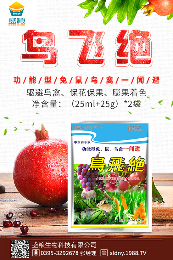 �������t������ڷ����������t���ڷ۷�������Щ��