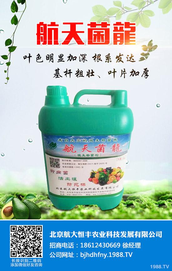 ���ֹϵķNֲ��������Щ�����ֹ���ηNֲ�׸߮a(ch��n)��