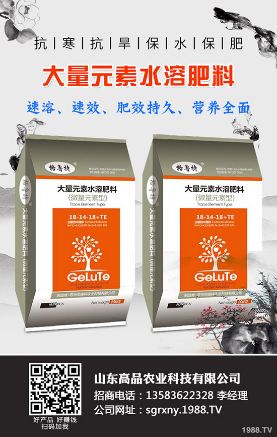 2019��11��12�ձ���������(n��i)⛷������߄��A(y��)�y��