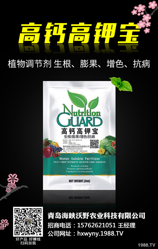 ���@�r����ݷž���2019��11��12�Շ���(n��i)���@�r�������