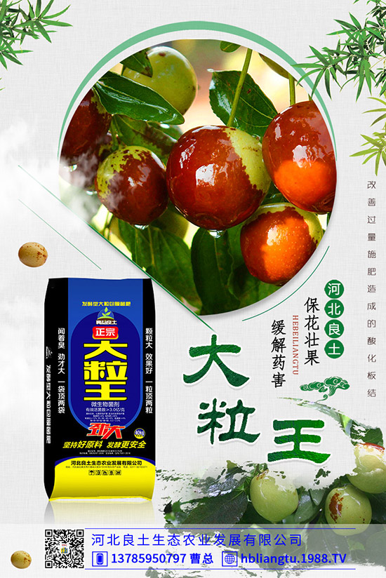 ����仨���ԭ������Щ�������������������