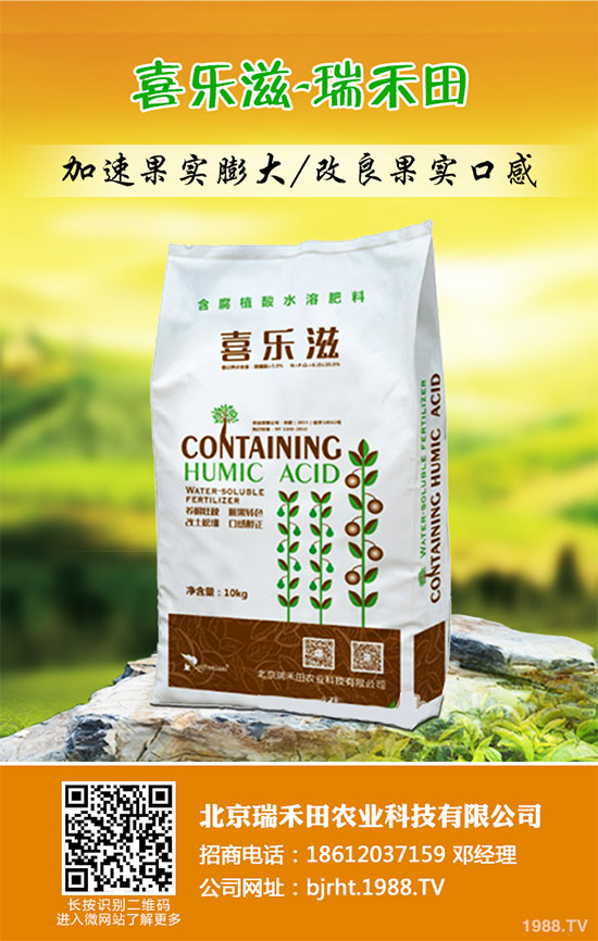 2019��11��12�ս��ո������؏S�҈�r�^�m(x��)�µ������غ����A(y��)�y��