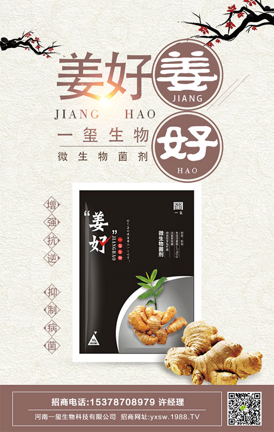 豆角的四個(gè)生育期有哪些特點(diǎn)？如何長期保存豆角？