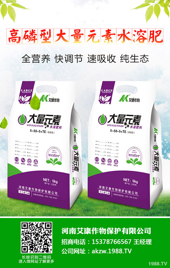 ���؃r��Εr���{�������������������߄ݷ���2019-11-13