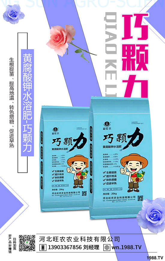 ���؃r(ji��)�����һ�����r(ji��)���»�������2019-11-13���س��S�r(ji��)���A(y��)��(b��o)��