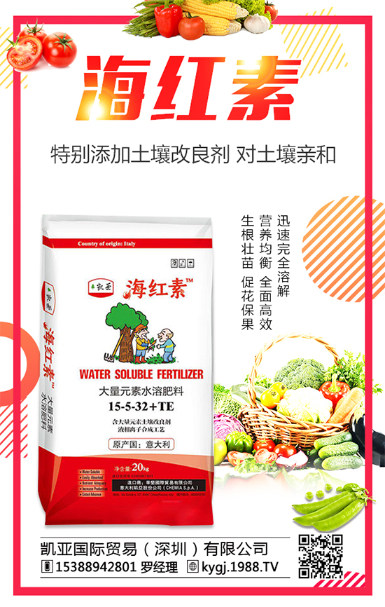 �����˵ķNֲ�r(sh��)�g�����������˷Nֲ������