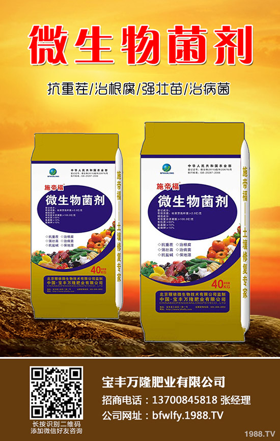 ���m���Nֲ��������Щ�����m���Nֲע�������