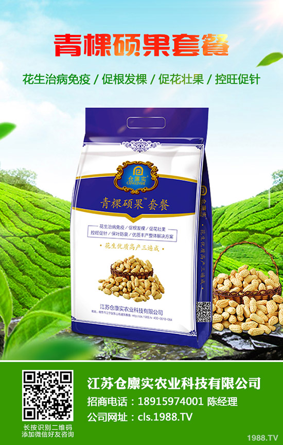     2019��11�µ���������⛷������߄ݾC�Ϸ�����