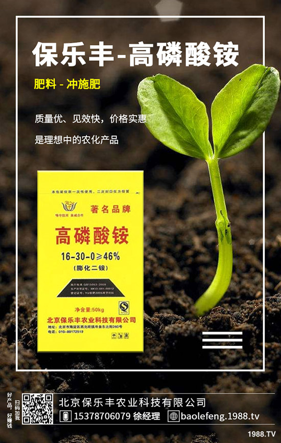 �}���������l(f��)��Ҏ(gu��)������Щ���}������������Ҫ�c��