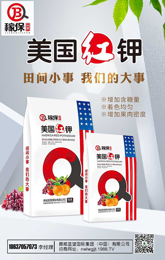 ���㻨�B(y��ng)ֳ��������Щ�����㻨�B(y��ng)ֳע�������