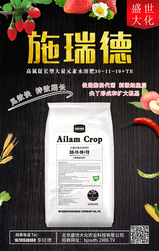 ʯ����ʲô�I�B(y��ng)�rֵ��ʯ������Щʳ�ù�Ч��