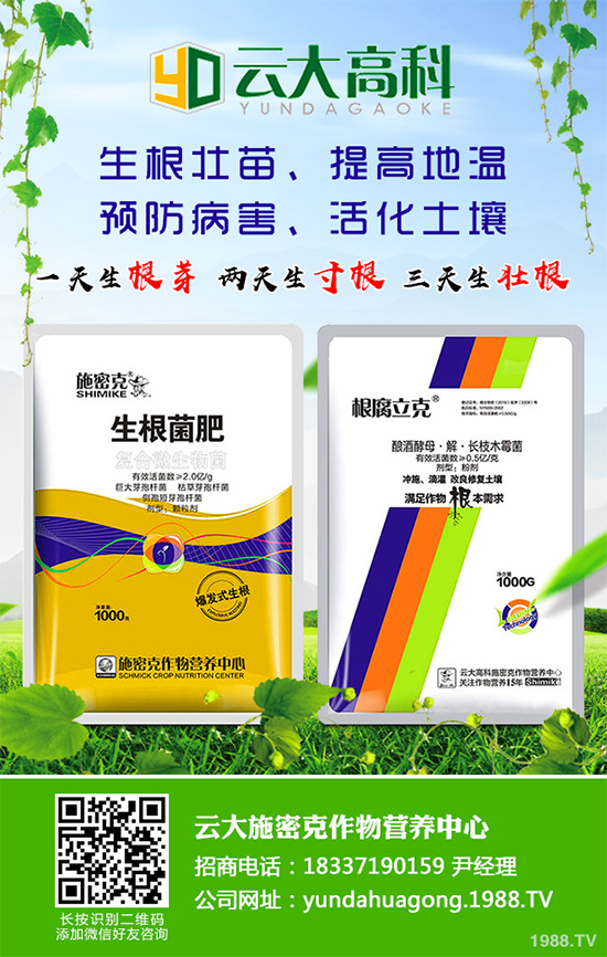 ��������ֲ��Ƥ�Ɇ�����Ƥ�ɶ�����ֲ����