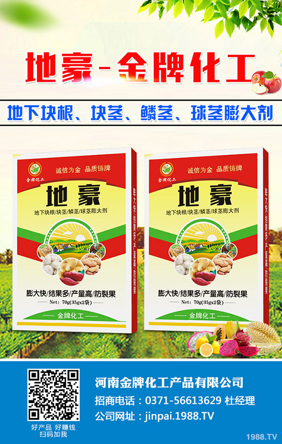 菠菜什么時候種更合適？菠菜種植技術(shù)和時間！