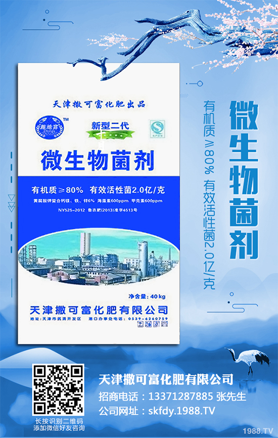 ��Ƥ�����Ժ���S��զ������ԓ��ô��Q�����������