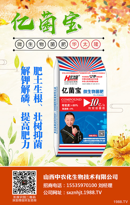     2019��11��4�ս������¸��؅^(q��)�����������S��rһ�[��