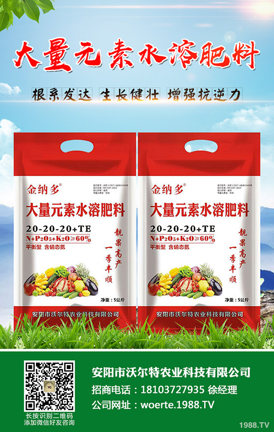 ������ô�N�����۷NֲҪ������Щ��