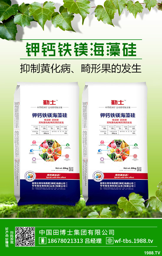     2019��11��8������⛷������߄�(sh��)�A(y��)�y(c��)���Ȼ�⛳��S��(b��o)�r(ji��)һ�[