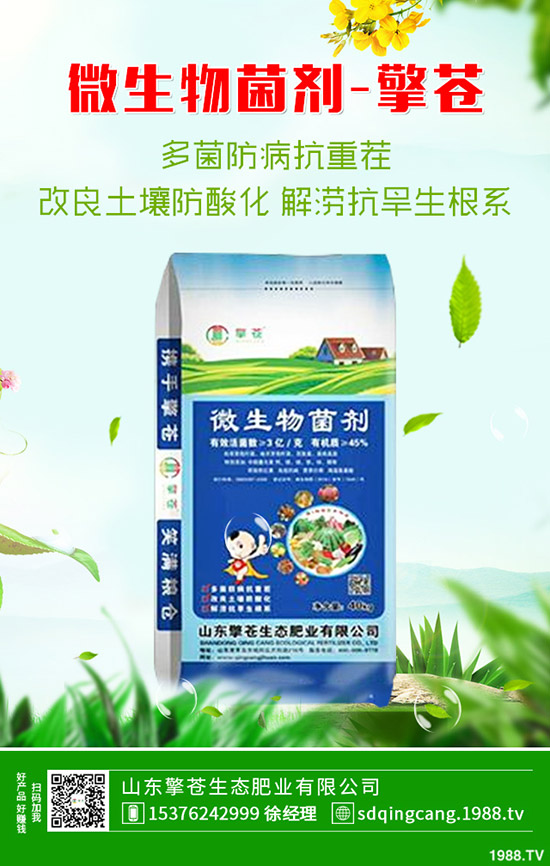     ӡ���ٴ��Иˣ�2019��11��8�ս��ո��؅^(q��)�����������S��rһ�[