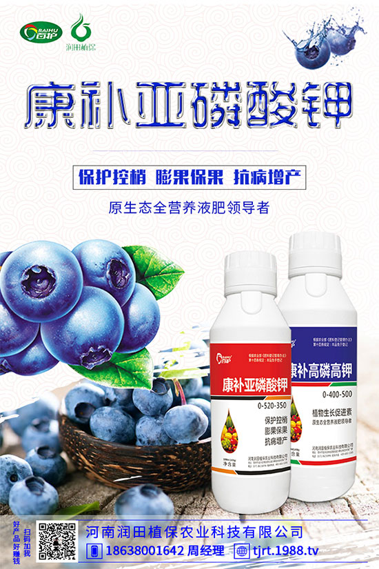 ���콷ʲô���N�����콷�ķNֲ���������x(ch��ng)������