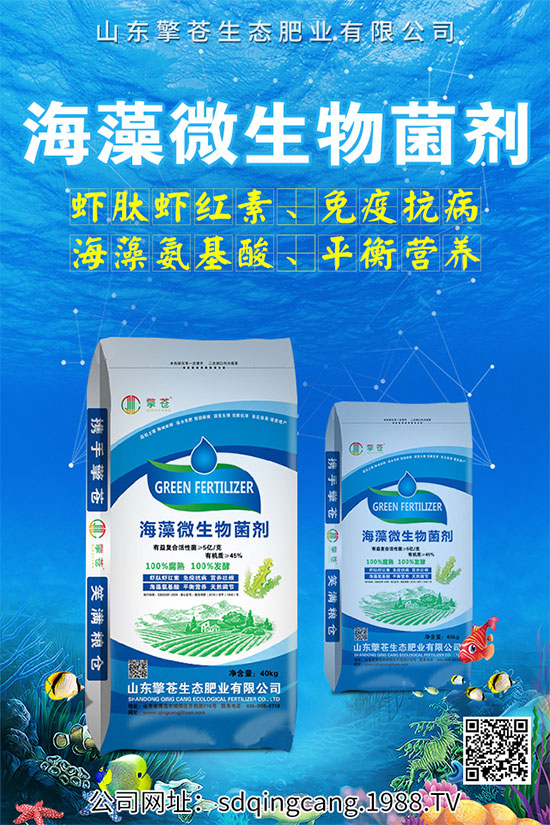 ������˥ʲô�Y����������˥�ķ��δ�ʩ��