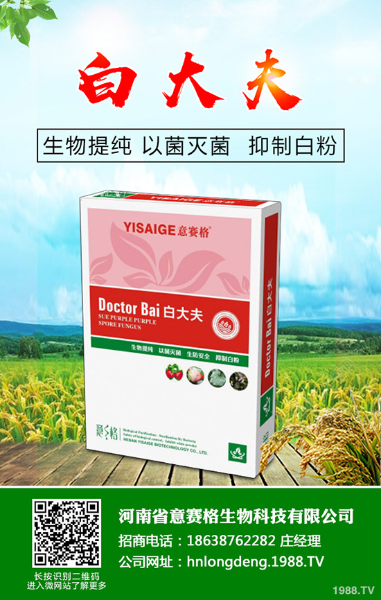 ���Ѷ���ʲô�r(sh��)���^�������Ѷ�����ʲô���ã�