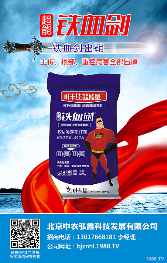 2019��12��17�Շ���(n��i)���؅^(q��)⛷ʳ��S��(b��o)�r(ji��)һ�[