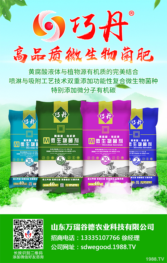 ؕ������Щ���湦Ч��ؕ�ջ��Ĺ�Ч�����c����