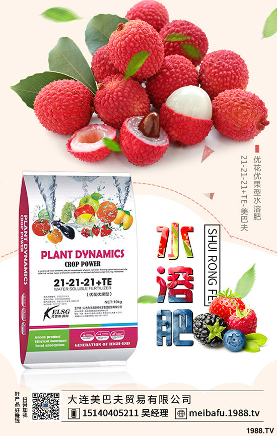 2019-12-19���@�r(ji��)�����f�Ӹ߲��£����؅^(q��)���@���������