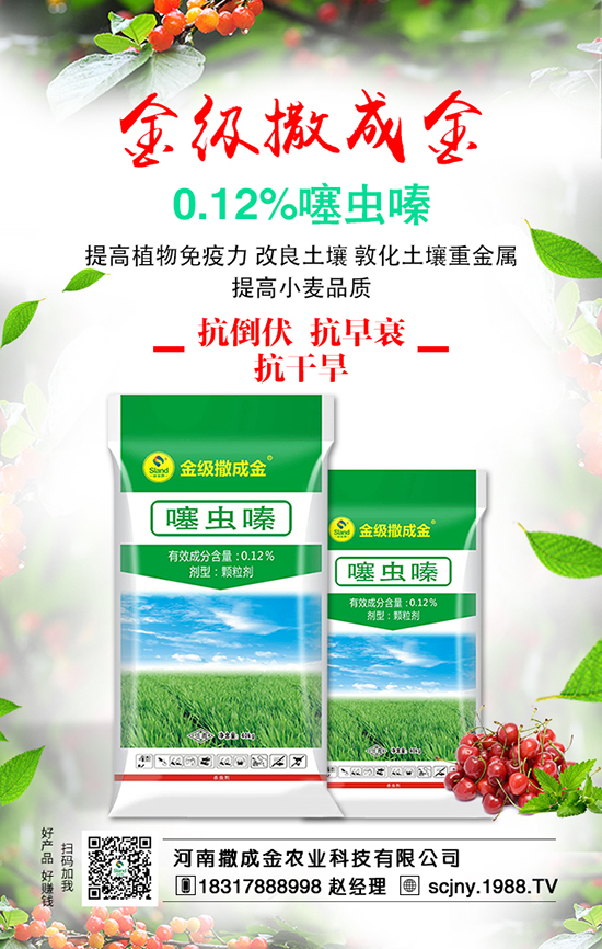 ���Է��ϊZ�����B��������