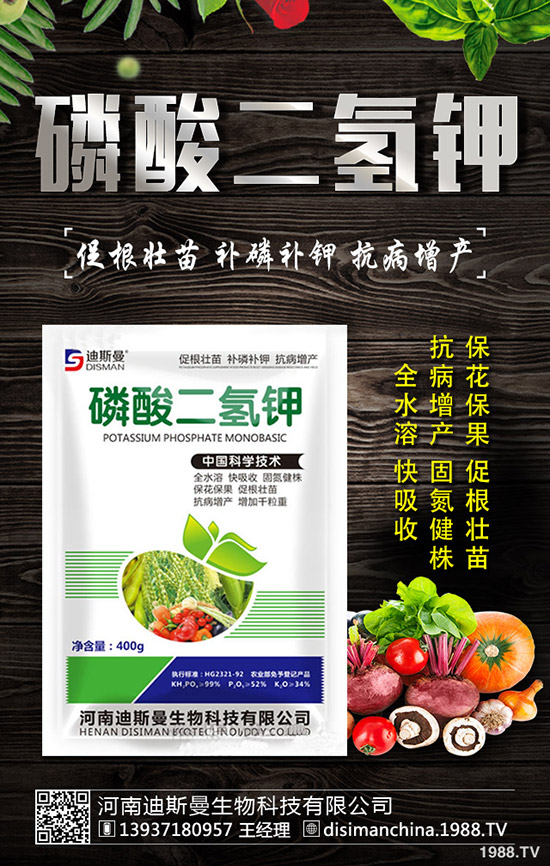 ������ô�Nֲ�������Nֲ�������ճ�����������