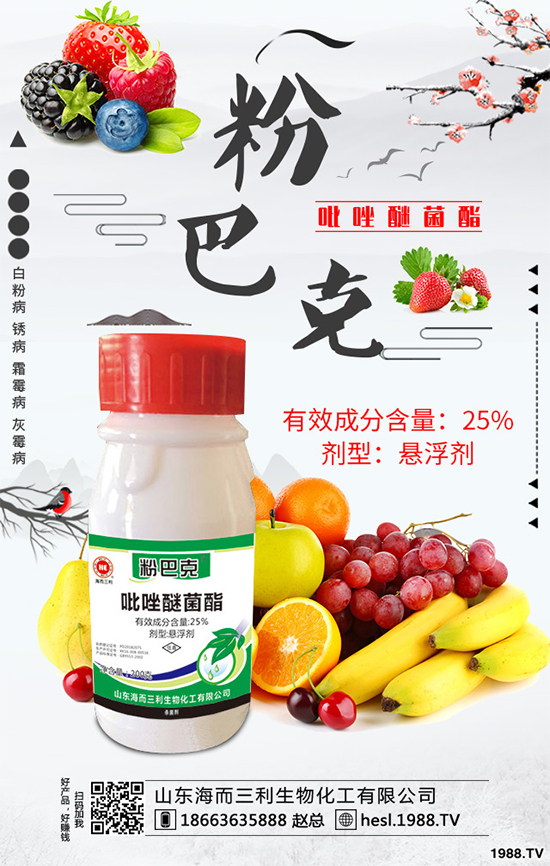 Koppert�ڶ�����ӛ�����������Noli