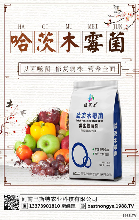 ����(ch��)���鼴������(d��ng)������⛷ʃr(ji��)�������A(y��)�y(c��)2019-12-20