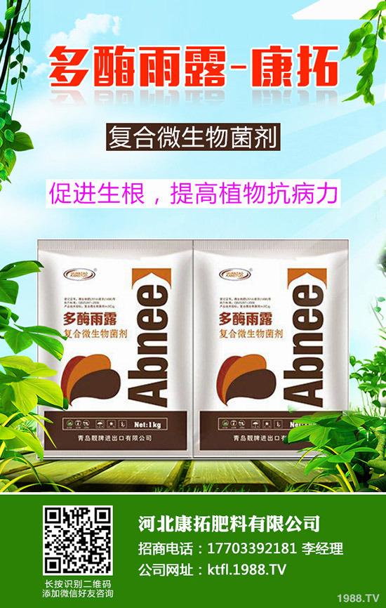 ����ÿ�������X��2019-12-20���ո������؃r���߄ݷ���