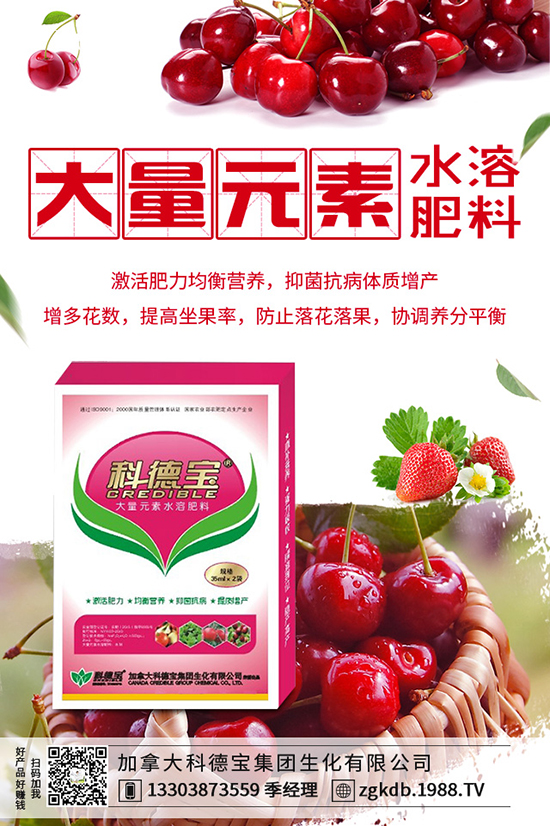 2019-12-21���؃r(ji��)�������(d��ng)�B(t��i)�������Xһ����