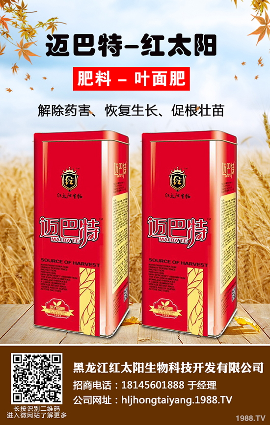 ⛷ʃr(ji��)���ǝq�ǵ���2019-12-21����(n��i)����⛷ʃr(ji��)���߄�(sh��)����