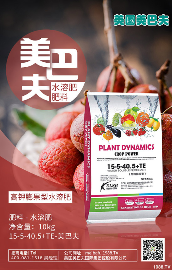     2020Ԫ�����������@�������o��������һ�@�����r��