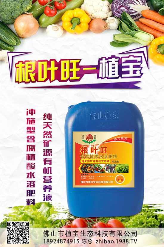     �������S��Ʒ�N�����и����L(f��ng)ζ�����ۼ���˕��l(f��)�F(xi��n)���������u�ļt�����ֱ���ͨ����Ҫ�F���S�ࡣͬ�������������������Ҳ��࣬�t�����֑{ʲô�Ȱ��������F��