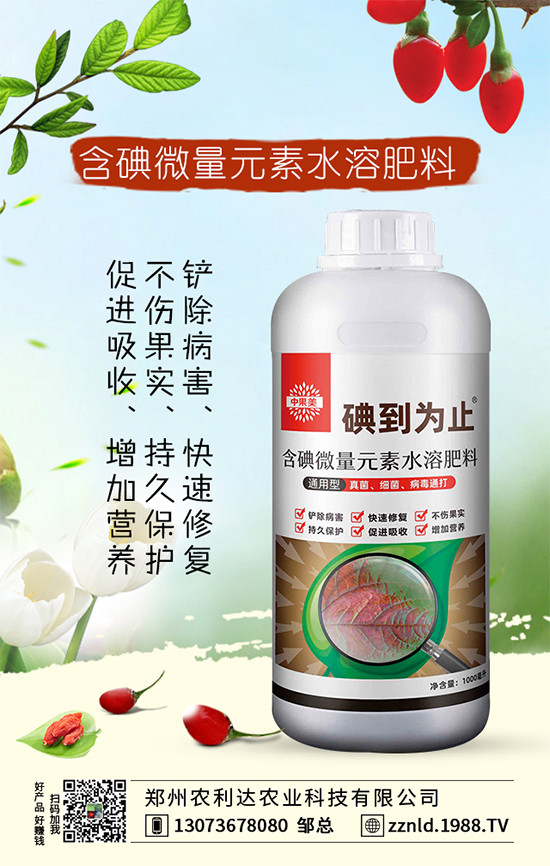 �t�}����ι��������S�գ�����ƌW(xu��)�����҂�֪������