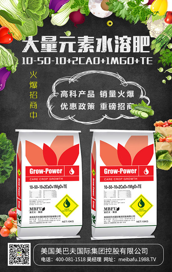     2019���������@��������r(ji��)��C�Ϸ�����(b��o)����