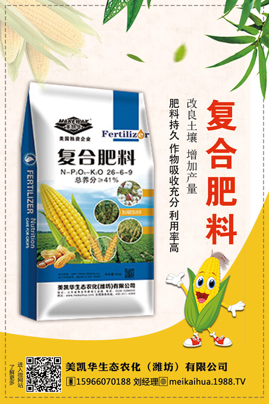     2019�������һ�@��������r��C�Ϸ�����(b��o)����