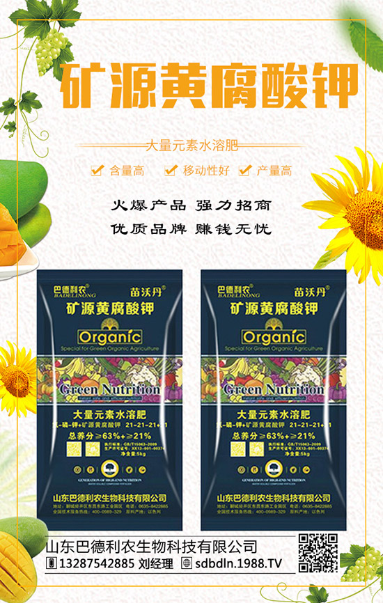     ��(f��)�Ϸ�����q�����F(xi��n)��2019��12��ĩ���r���߄��A(y��)�y��